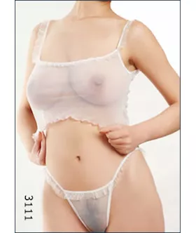 Mirco Mesh 2 Piece
