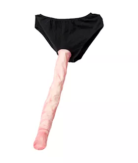 Whopper Willy Gag Underwear
