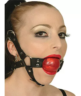 Leather Red Ball Gag Harness