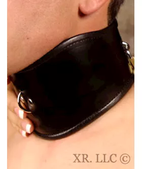 Padded Leather Locking Posture Collar