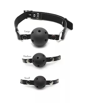 Ff Ball Gag Training System