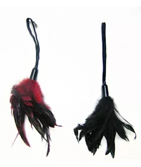 Pleasure Feather