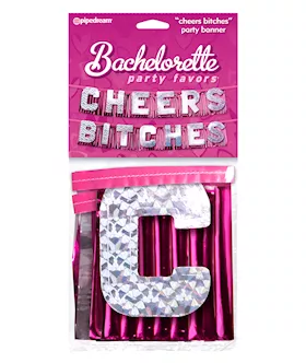 Cheers Bitches Party Banner
