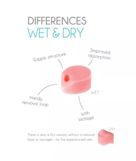 Dry Beppy Sponge