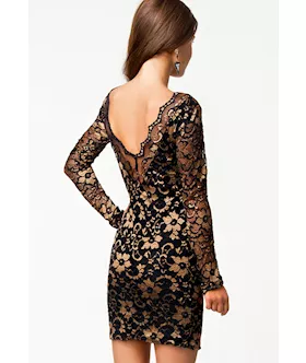 Classical Beauty V Back Two Tone Lace Vintage Dress