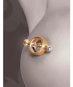 Fetish Fantasy Series Magnetic Clamps