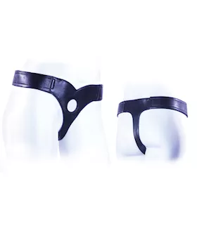 Ez Connoisseur Harness