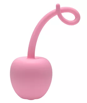 Pig Tail Silicone Anal Plug