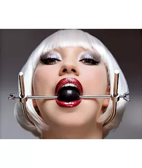 Adjustable Stainless Steel Ball Gag Head Harness