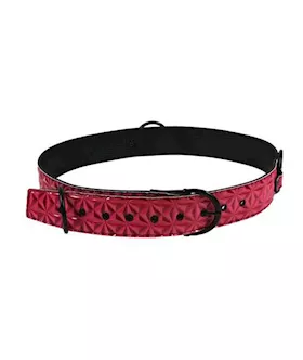 Sinful Restraint Belt Large Pink