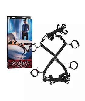 Scandal Over The Bed Cross