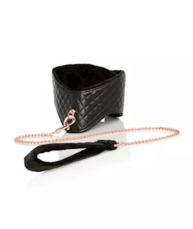 Entice Posture Collar With Leash