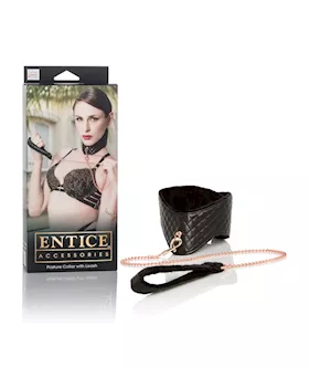 Entice Posture Collar With Leash