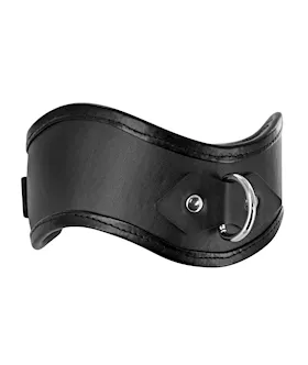 Straight Up Padded Locking Posture Collar