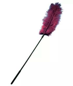 Ostrich Tickler Burgundy