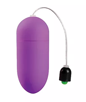 10 Speed Vibrating Egg Purple