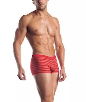 Striped Mesh Boxer
