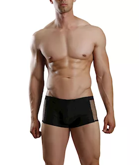 Fishnet Brief