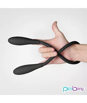 Picobong Transformer