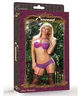 Bra and Gartered Panty Set