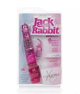 Petite Jack Rabbit
