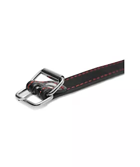 Hound Adjustable Dog Bone Gag