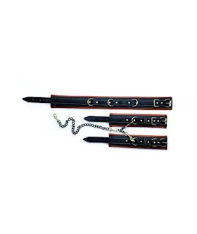 Coax Collar To Wrist Restraints