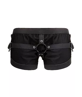 Boxer With Harness