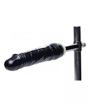 Stuck And Stuffed Stockade With Dildo