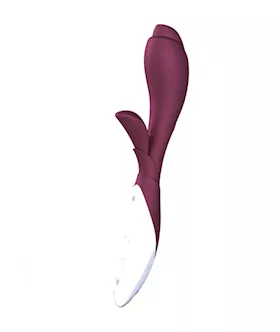ZINI Zook Dark