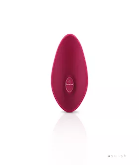 B Swish Bsoft Premium