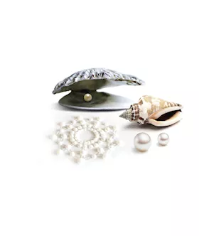 Bijoux Indiscrets Mimi