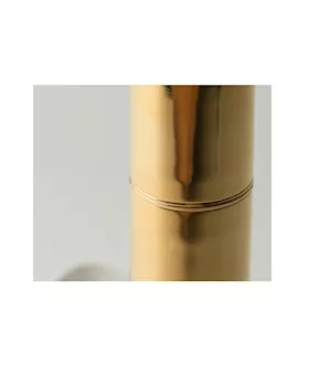 Crave Bullet 24k Gold