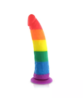 Pride Dildo Silicone Rainbow Dildo