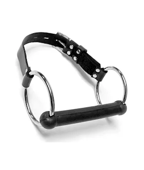 Rubber Bit Gag