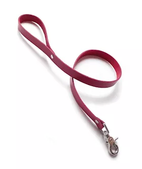Bound Leather Leash