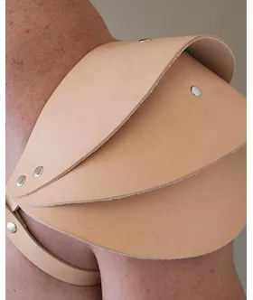 Apollo Harness