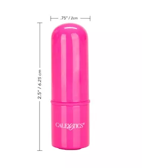 Tiny Teasers Mini Bullet