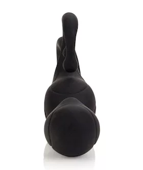 Dr Joel Kaplan Universal Prostate Probe