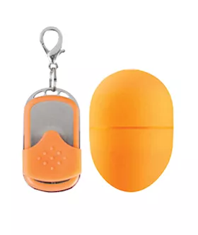 Small Remote Control Vibrating Egg
