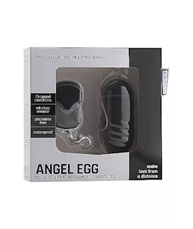 Angel Egg