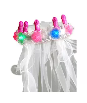 Bachelorette Party Favors Pecker Light-up Veil