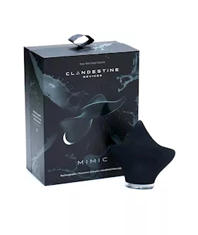 Clandestine Devices Mimic Rechargeable Massager