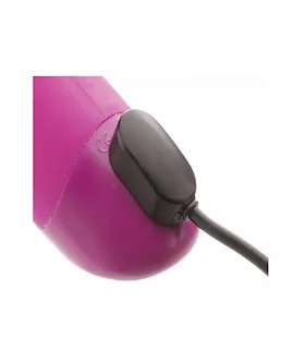 Adam & Eves G3 Massager