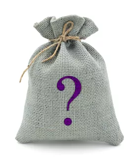 Mystery Bag Sexy Costume - One Size Fits Most
