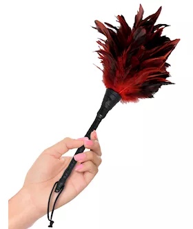 Frisky Feather Duster