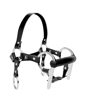 Steed Silicone Bit & Bridle Head Harness