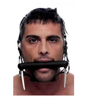 Steed Silicone Bit & Bridle Head Harness