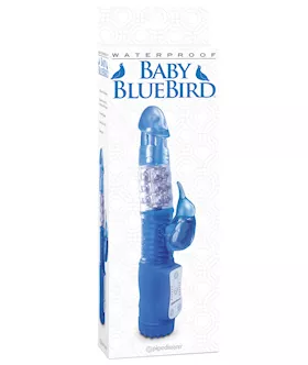 Baby Bird