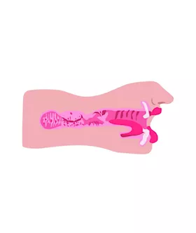 Sarah's Sexy Mouth Stroker